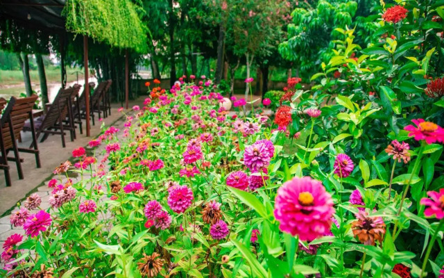 Chitwan Riverside Resort by OYO Rooms