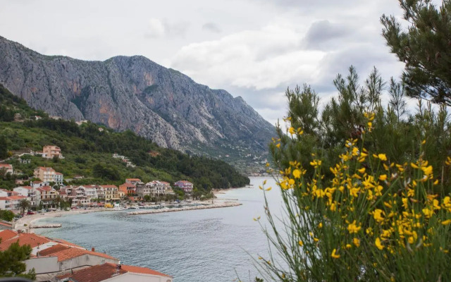 Apartments Sumic Podgora