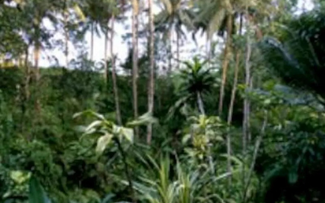 Mulawarman Guesthouse