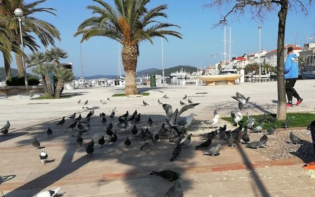 Stunning 1-bed Apartm. Near the Beach in M. Lošinj