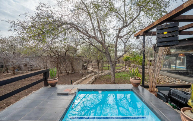 Foxy Crocodile Bush Lodge & Kruger Safari's - No Loadshedding