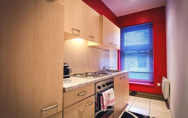 Petite France: Nice and Equiped Flat