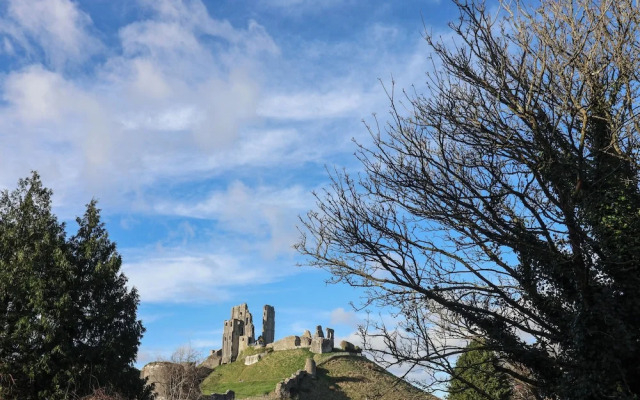 Princess Beach House