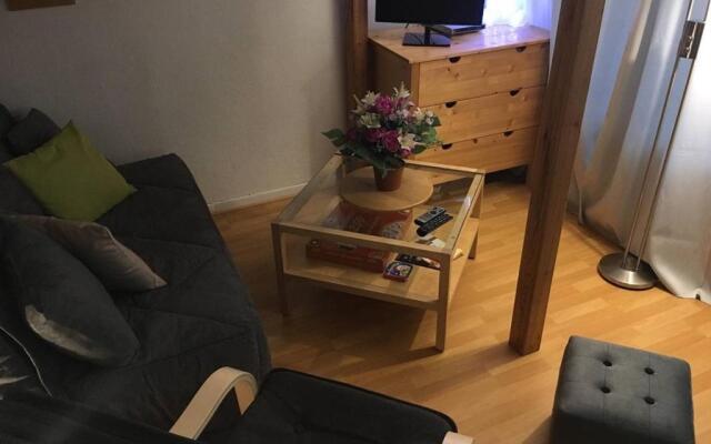 Appartement Arette, 1 pièce, 4 personnes - FR-1-602-78