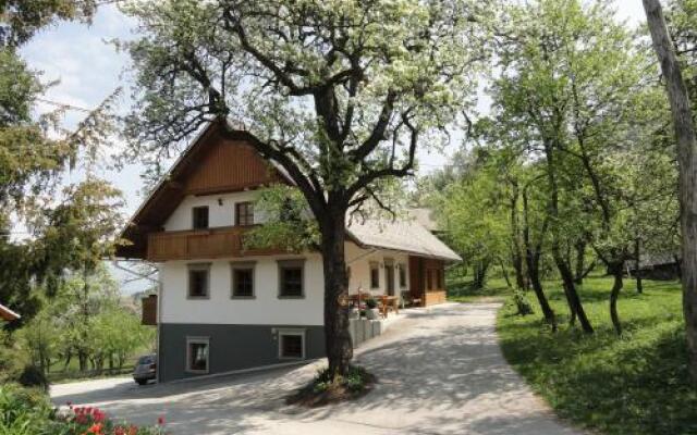 Farm Stay Dolinar Krainer