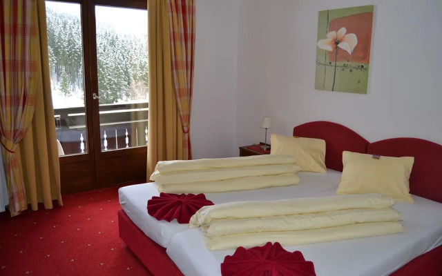 Pension - B&B Elisabeth Radstadt