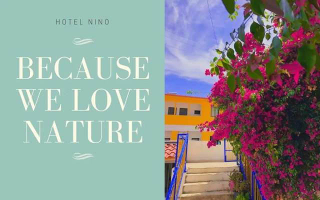 Hotel villa Petro
