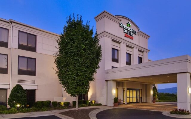 SpringHill Suites by Marriott Asheville