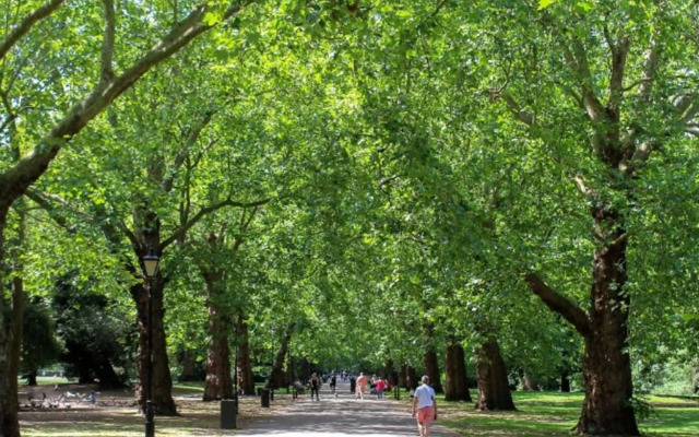 Refurbished St.johns Hill Apartment