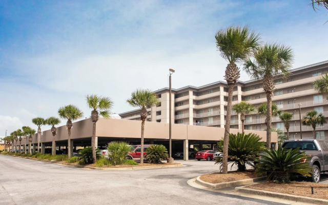 Island Princess #709