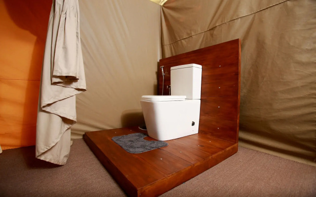 Yala safari and Relax camping