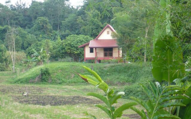 Suancha Tea Garden
