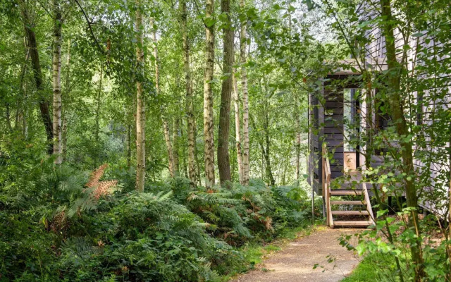 Elegant Mansion With Pools