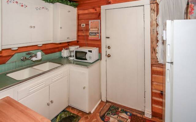 Pine Forest Cabin