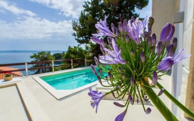 Fran - Pool View - A1 - II kat