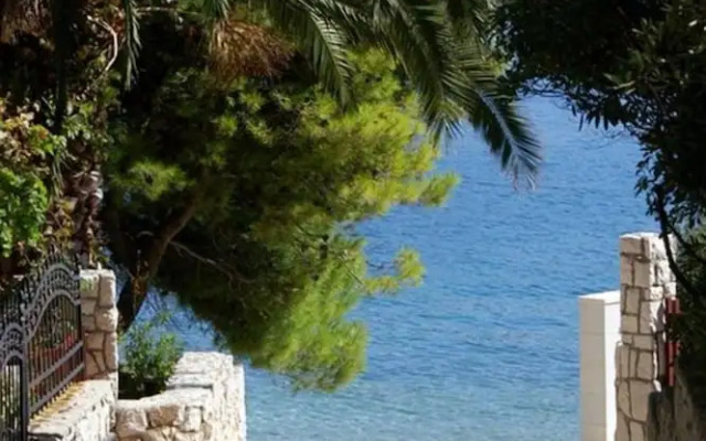 Zlata - Only 50 m From Beach - A1