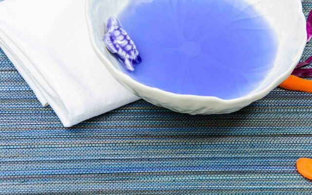 The LifeCo Antalya Well-Being Detox Center
