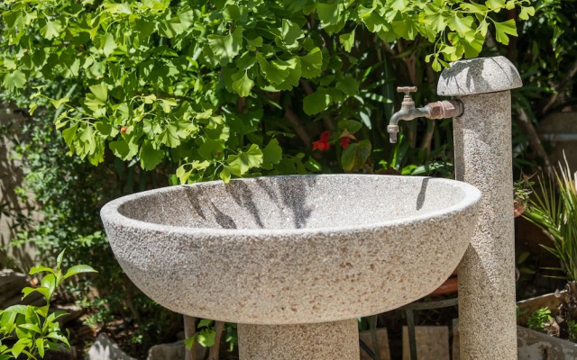 An Apartment Kamelia