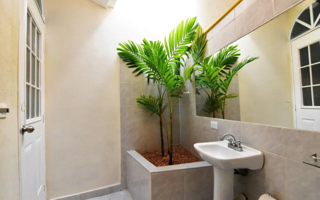 Tulipanes Cancun
