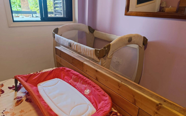 Palm garden paradise