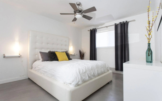 Travis Heights Modern I