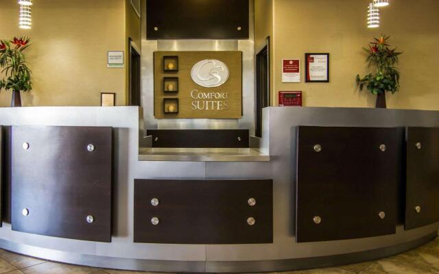Comfort Suites West Dallas - Cockrell Hill
