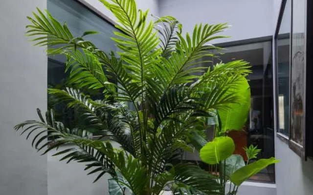 Qingmu Zhuji Hotel (Wanda Yintai City Branch)