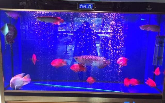 Guo Hao Hotel (Yiwu International Trade City)