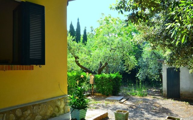 Comfortable Holiday Home In Castiglioncello With Garden