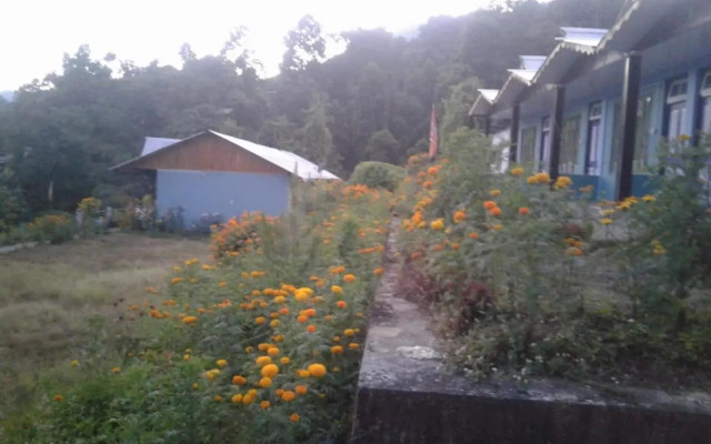 Vamoosetrail Pedong