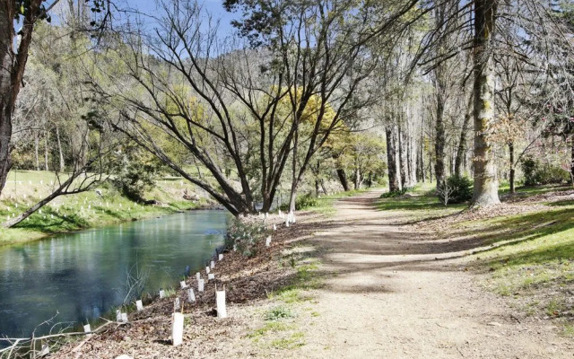 Snowstream Riverside Apartments - Unit 3