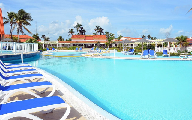 Starfish Cayo Guillermo