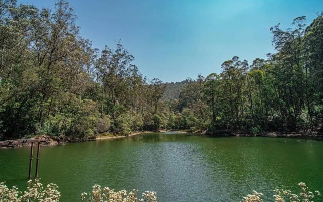 Rustic 3-BR Villa w/ Front & Back Yards in the mountains