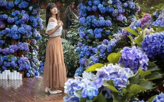 FlowerHome