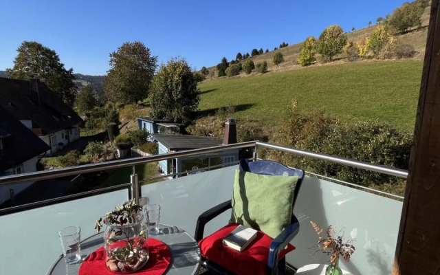 Schwarzwaldblick 41430