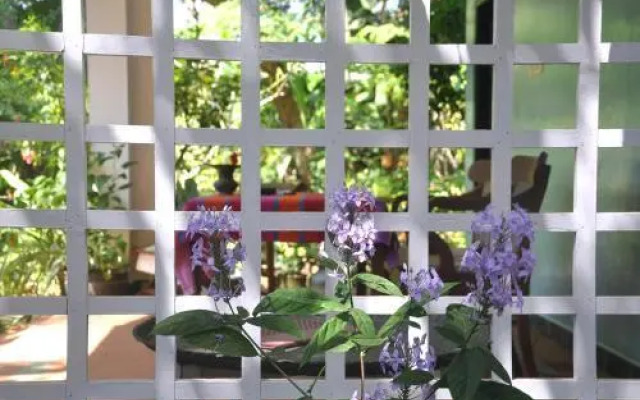 Villa Jacaranda