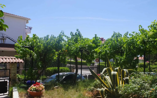 Boutique Apartment in Pjescana Uvala With Balcony