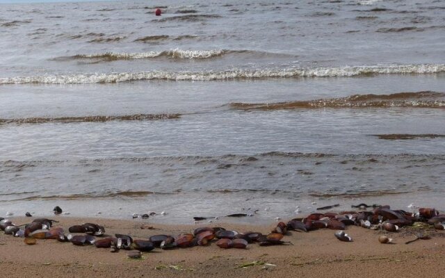 Vieille École du Rang 3