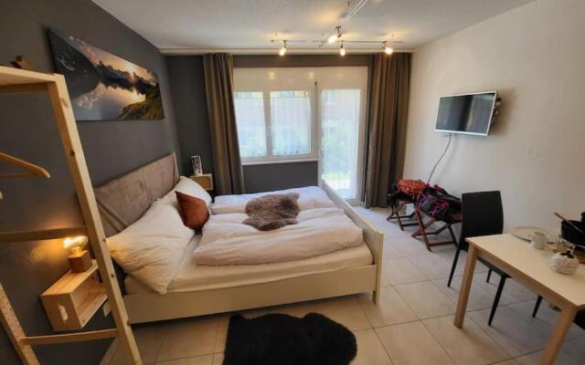 Ski-in cosy studio