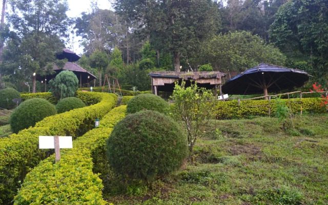 Nature Zone Jungle Resort