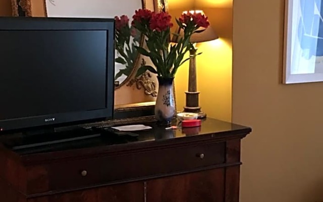 Wynberg House Swansea Bed  Breakfast