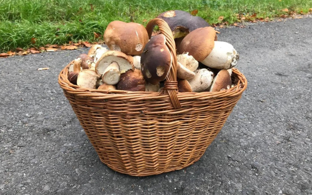 Útulný apartmán v blízkosti Mumlavských vodopádů