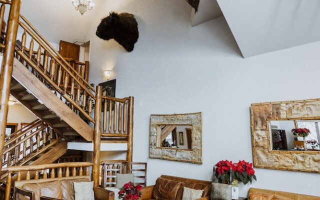 A Bear and Bison Inn