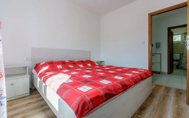 Apartment Nika