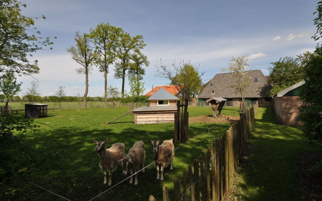 Stylish Farmhouse In Nieuwleusen With Private Garden