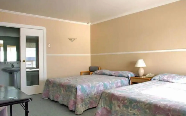 Motel Bellevue