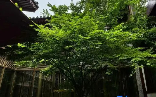 Shangyang Palace Tang Culture  Theme  Hotel