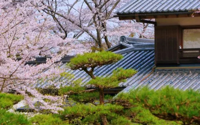 Oukai Villa Izumi