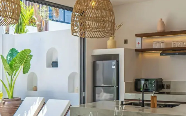 Nova Oasis 4