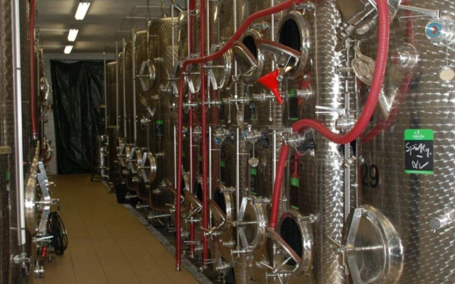 Naumburger Wein  Sekt Manufaktur
